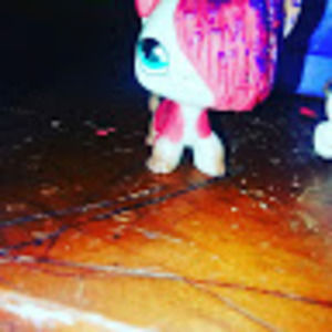 Meet your Posher, Lps!love factory